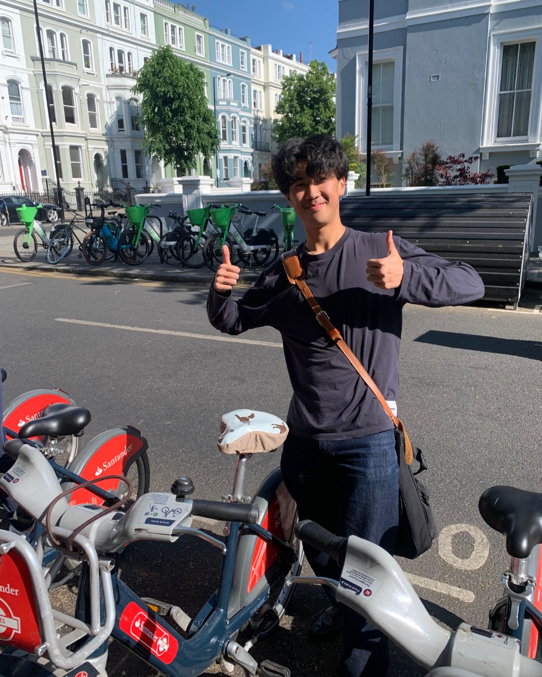 Brown Labrador Waterproof Saddle Cover - Pale Blue