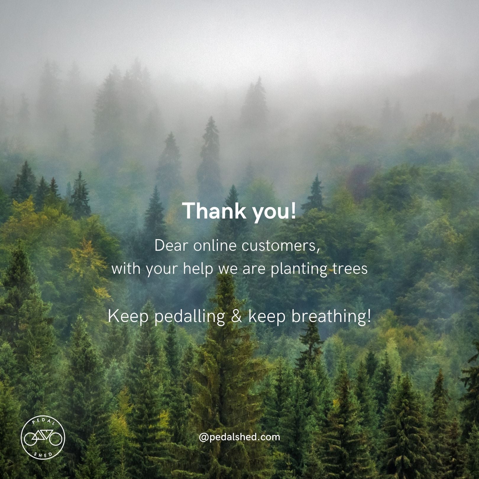 Thank you dear customers, together we've planted 66 trees!